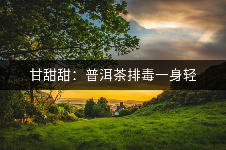 甘甜甜:普洱茶排毒一身輕 甘甜甜:普洱茶排毒一身輕
