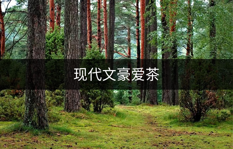 現(xiàn)代文豪愛(ài)茶 現(xiàn)代文豪愛(ài)茶