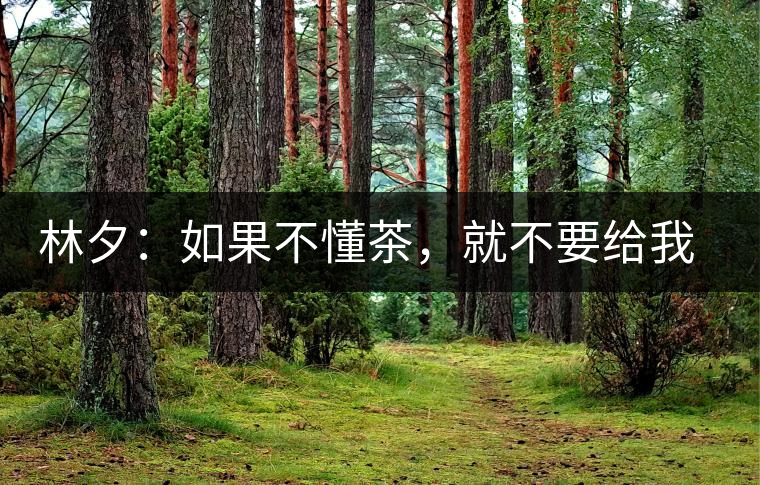 林夕：如果不懂茶，就不要給我送茶