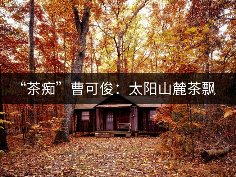 “茶癡”曹可?。禾柹铰床栾h香，清明時(shí)節(jié)采茶忙