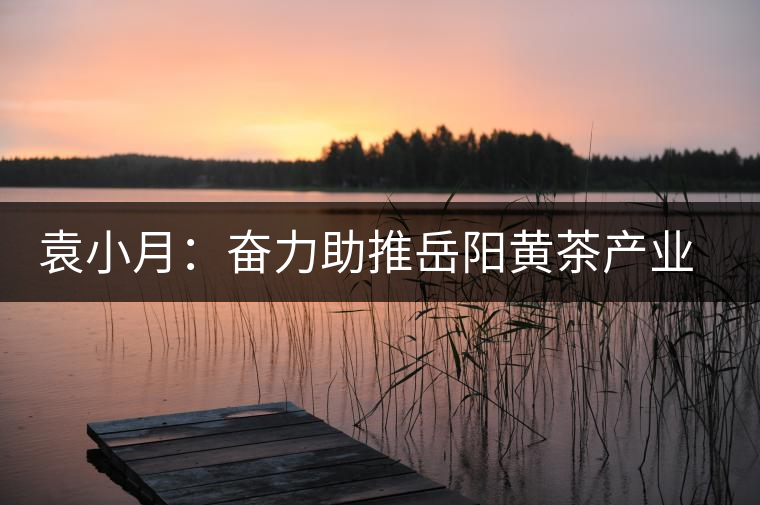 袁小月：奮力助推岳陽黃茶產(chǎn)業(yè)發(fā)展