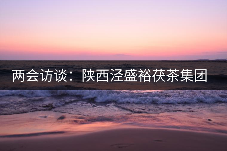 兩會訪談:陜西涇盛裕茯茶集團(tuán)董事長馬恒光 兩會訪談:陜西涇盛裕茯茶集團(tuán)董事長馬恒光