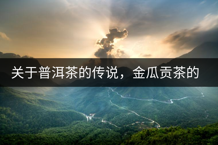 關于普洱茶的傳說，金瓜貢茶的來由