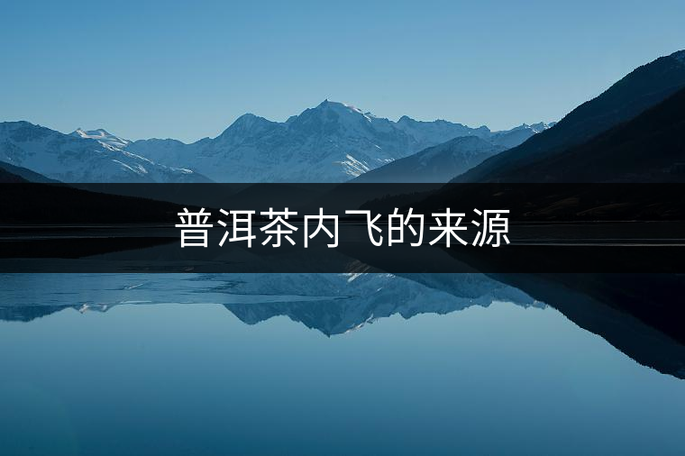 普洱茶內(nèi)飛的來(lái)源
