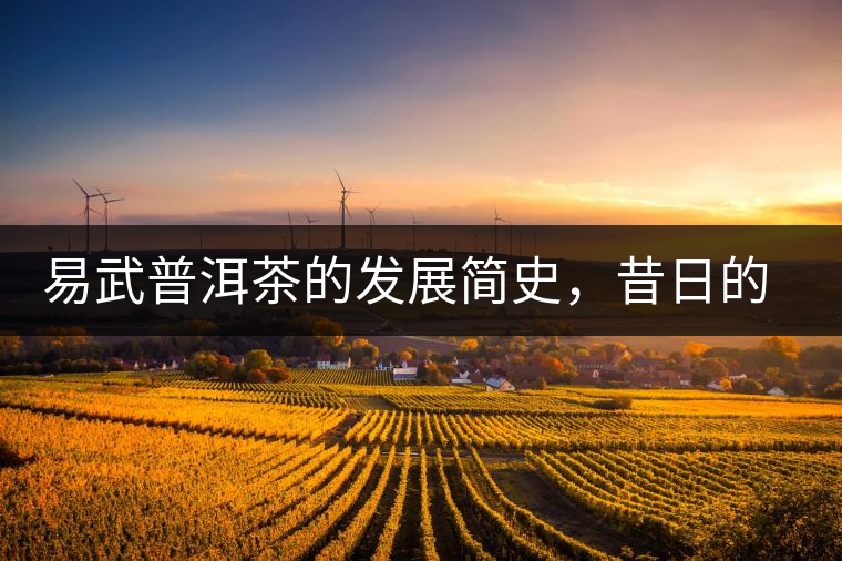 易武普洱茶的發(fā)展簡(jiǎn)史，昔日的貢茶如今依然輝煌