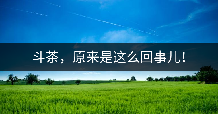 斗茶，原來是這么回事兒！