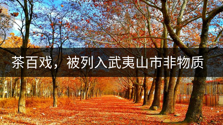 茶百戲，被列入武夷山市非物質文化遺產的茶湯