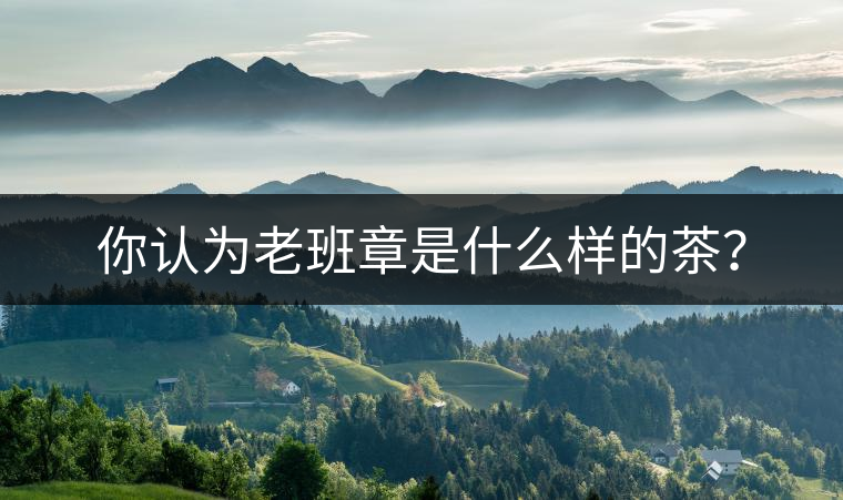 你認(rèn)為老班章是什么樣的茶？