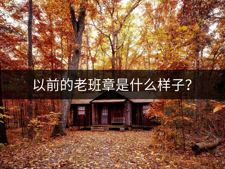 以前的老班章是什么樣子？