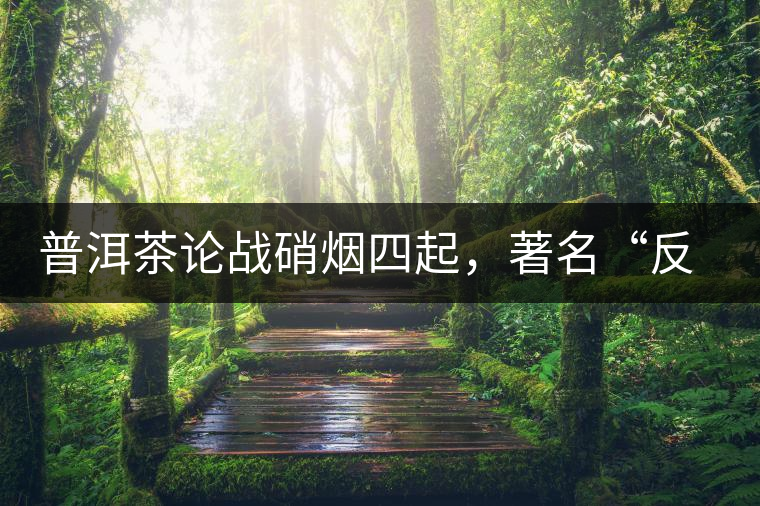 普洱茶論戰(zhàn)硝煙四起，著名“反偽斗士”司馬南有話說
