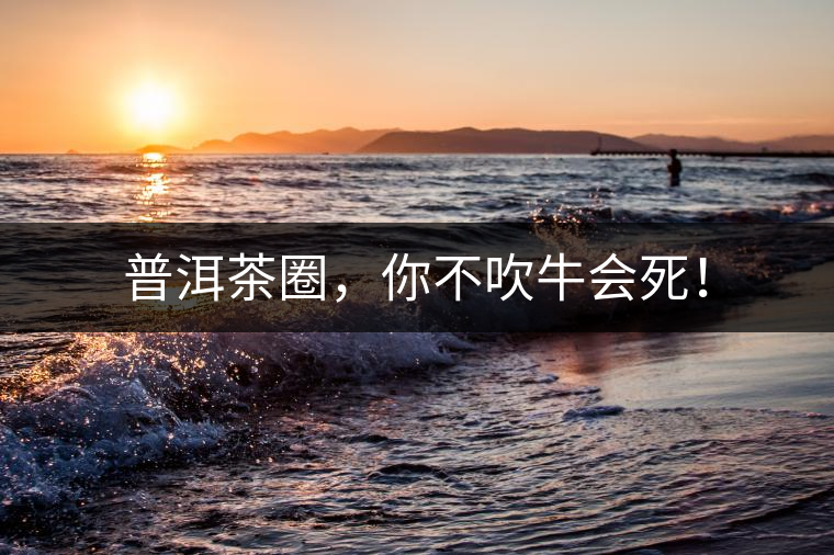 普洱茶圈，你不吹牛會(huì)死！