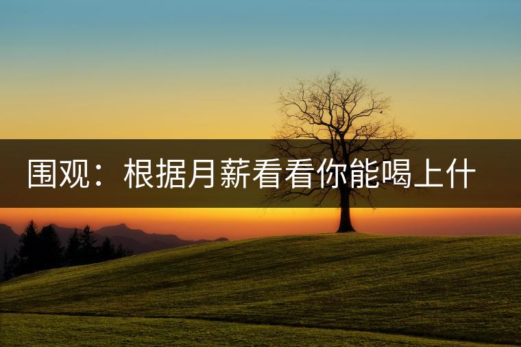 圍觀：根據(jù)月薪看看你能喝上什么茶？