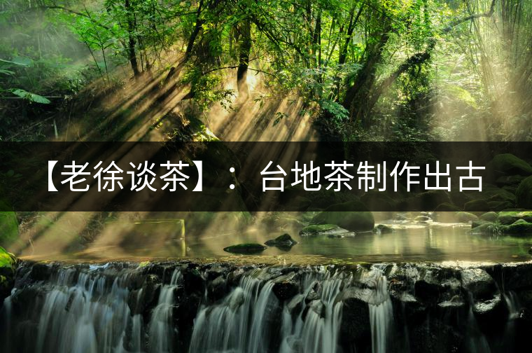 【老徐談茶】：臺地茶制作出古樹茶口感？只需一招，輕松騙過你 ?