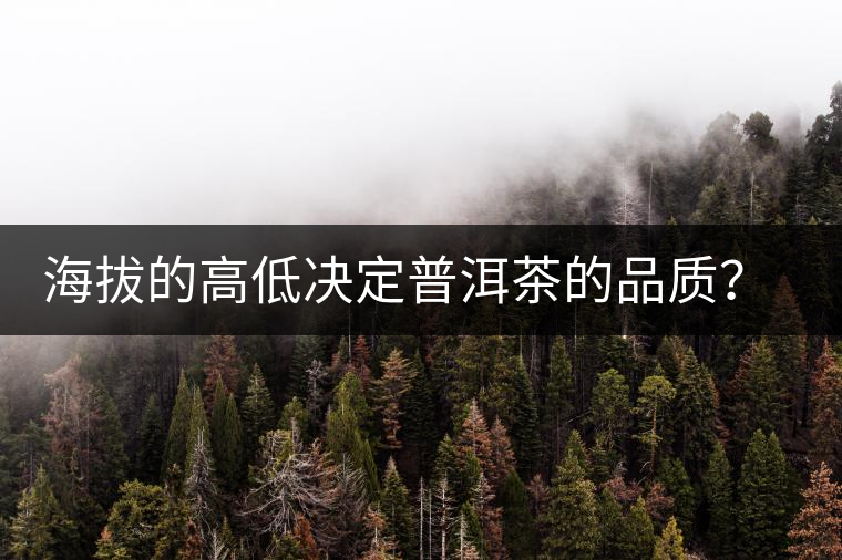 海拔的高低決定普洱茶的品質(zhì)？【附：名山頭茶海拔表】