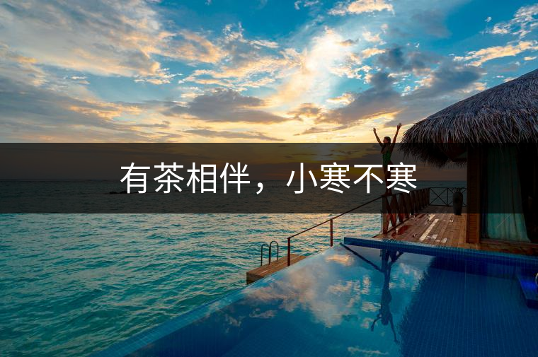 有茶相伴，小寒不寒