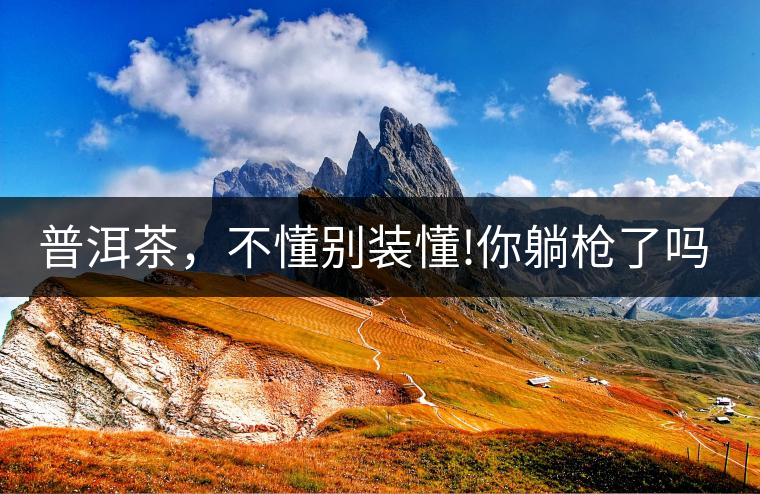 普洱茶，不懂別裝懂!你躺槍了嗎?