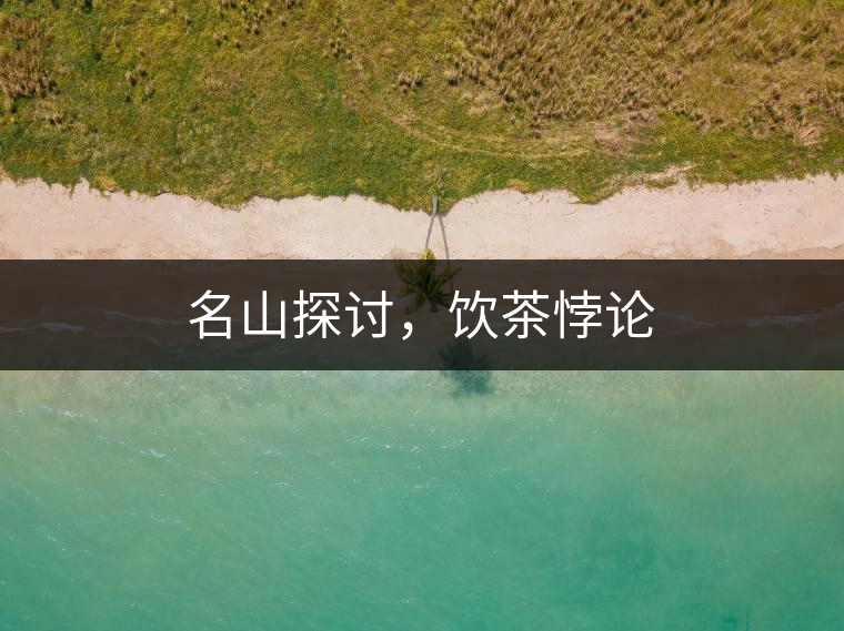 名山探討，飲茶悖論