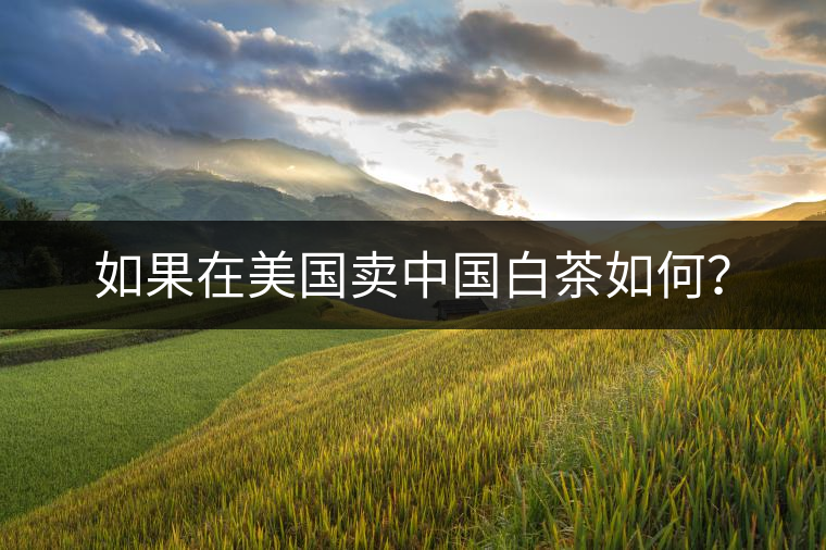 如果在美國(guó)賣(mài)中國(guó)白茶如何？