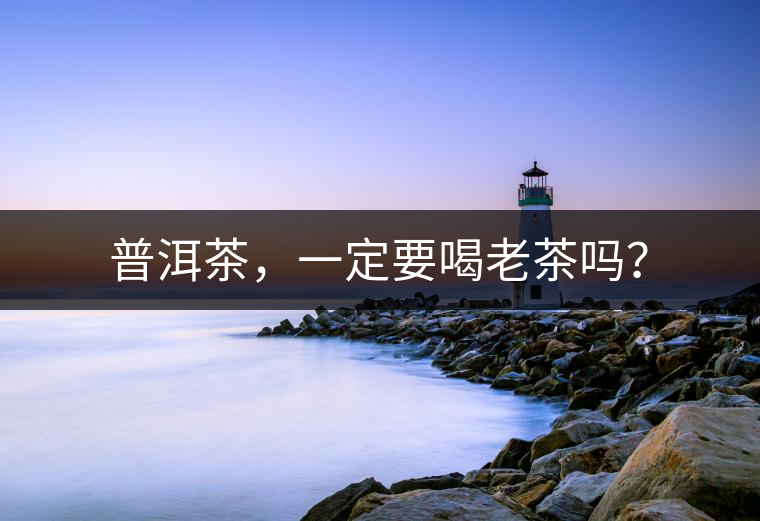 普洱茶，一定要喝老茶嗎？