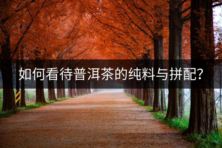 如何看待普洱茶的純料與拼配？