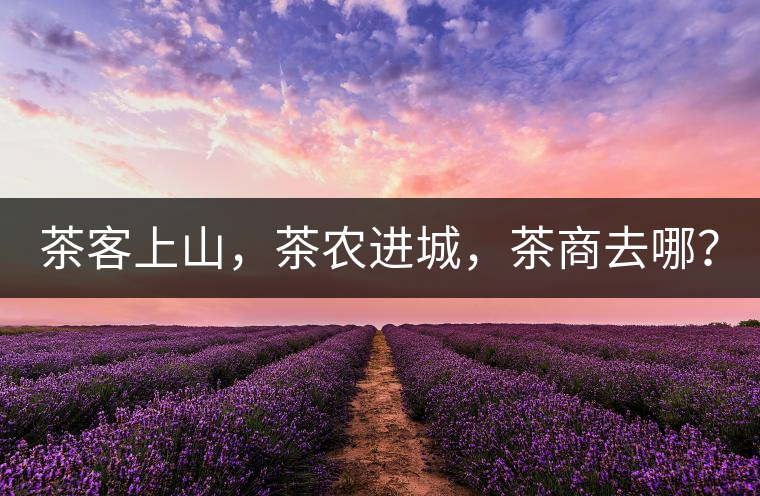 茶客上山，茶農(nóng)進(jìn)城，茶商去哪？