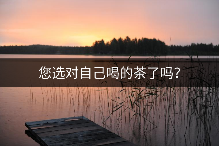 您選對自己喝的茶了嗎？