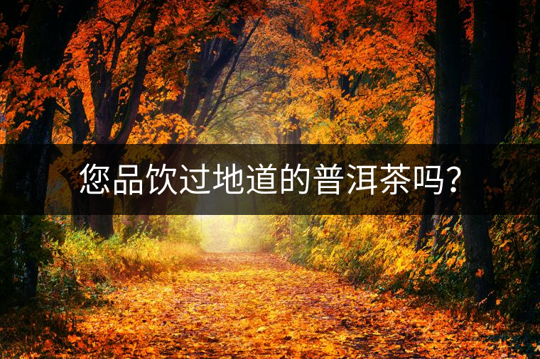 您品飲過地道的普洱茶嗎？
