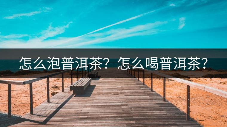 怎么泡普洱茶？怎么喝普洱茶？