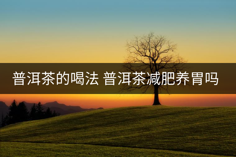 普洱茶的喝法 普洱茶減肥養(yǎng)胃嗎？