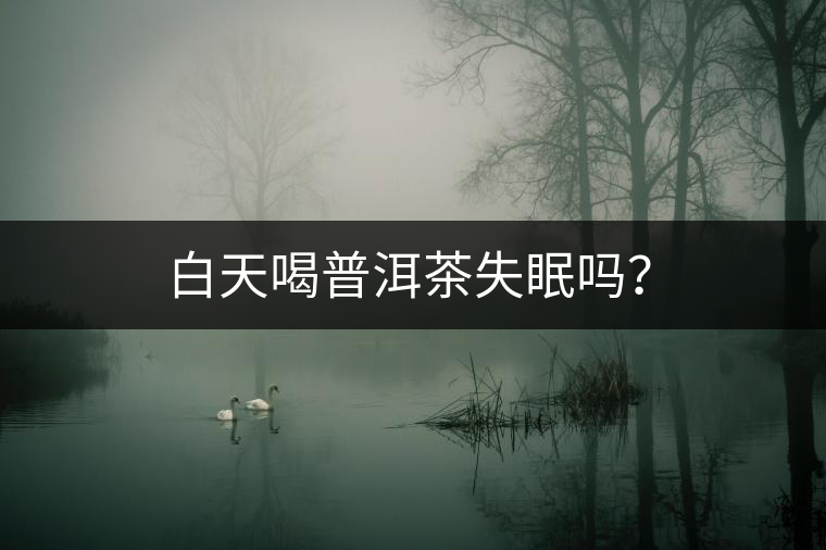 白天喝普洱茶失眠嗎？