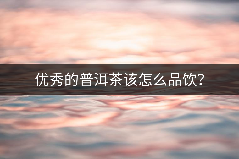 優(yōu)秀的普洱茶該怎么品飲？
