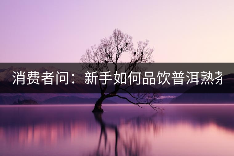 消費者問：新手如何品飲普洱熟茶？