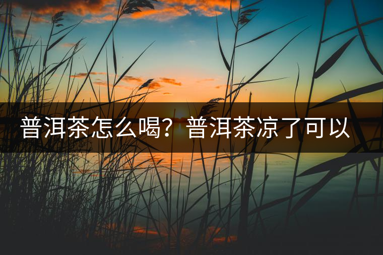 普洱茶怎么喝？普洱茶涼了可以喝嗎？