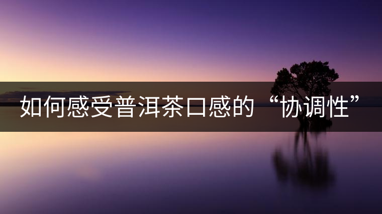 如何感受普洱茶口感的“協(xié)調(diào)性”？