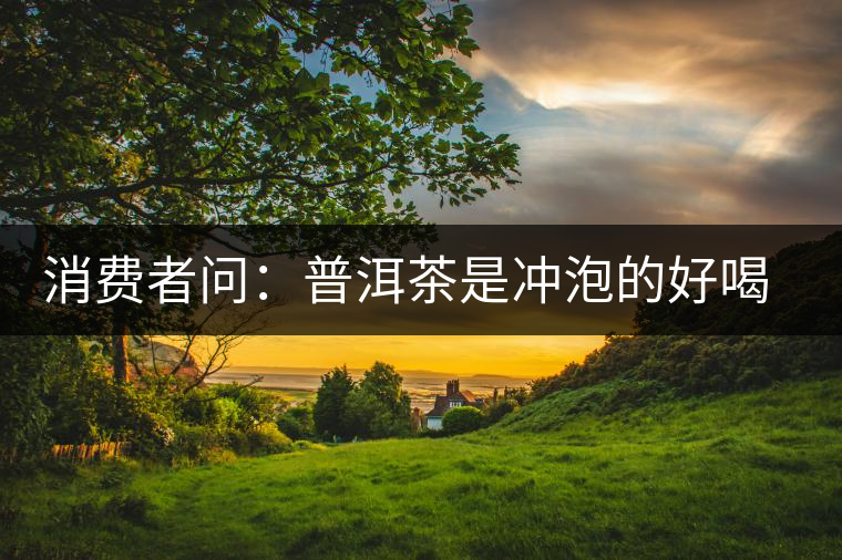 消費(fèi)者問：普洱茶是沖泡的好喝？還是煮著喝好？