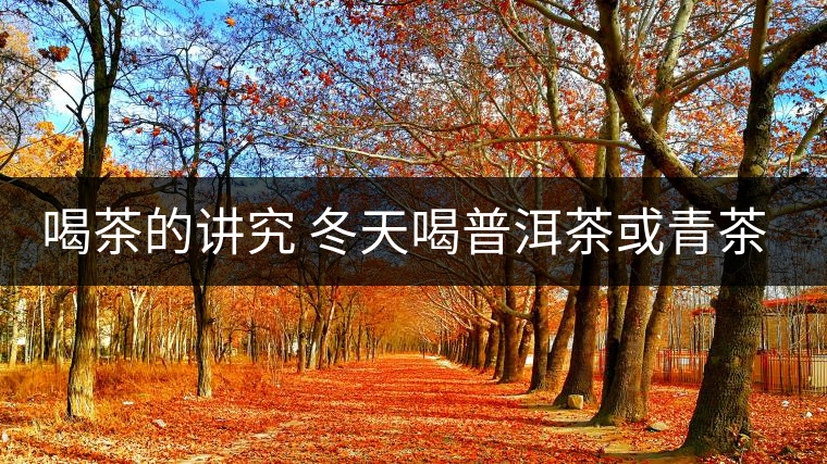 喝茶的講究 冬天喝普洱茶或青茶更益健康