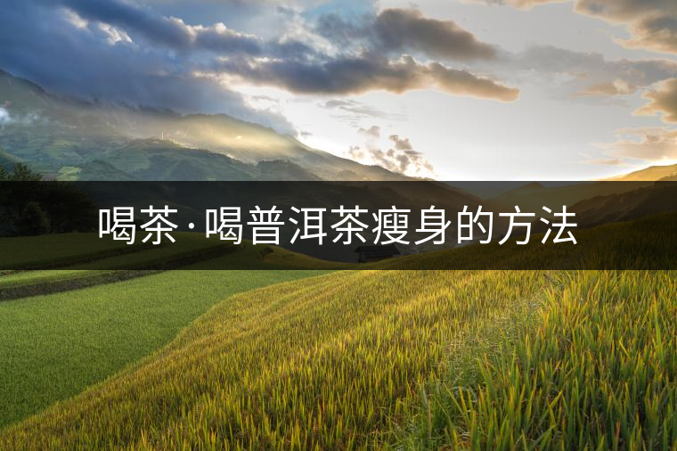 喝茶·喝普洱茶瘦身的方法 喝茶·喝普洱茶瘦身的方法