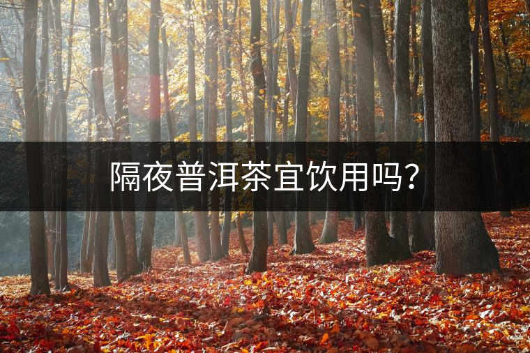 隔夜普洱茶宜飲用嗎？