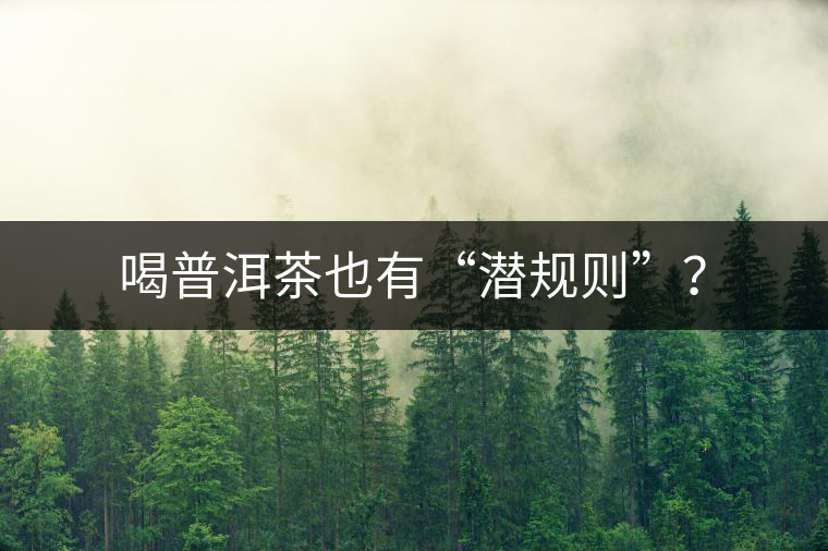 喝普洱茶也有“潛規(guī)則”？