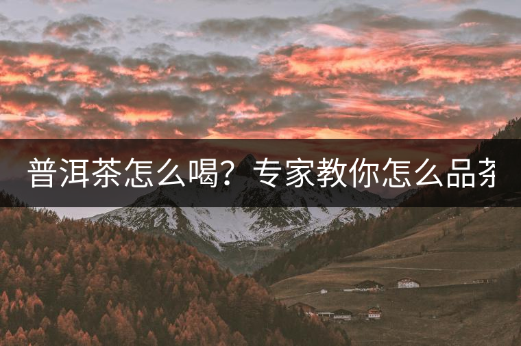 普洱茶怎么喝？專家教你怎么品茶？