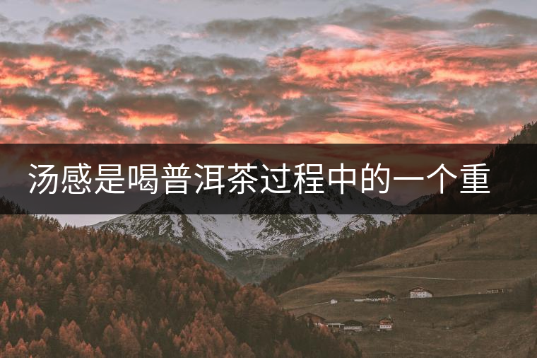 湯感是喝普洱茶過程中的一個(gè)重要感覺 湯感是喝普洱茶過程中的一個(gè)重要感覺