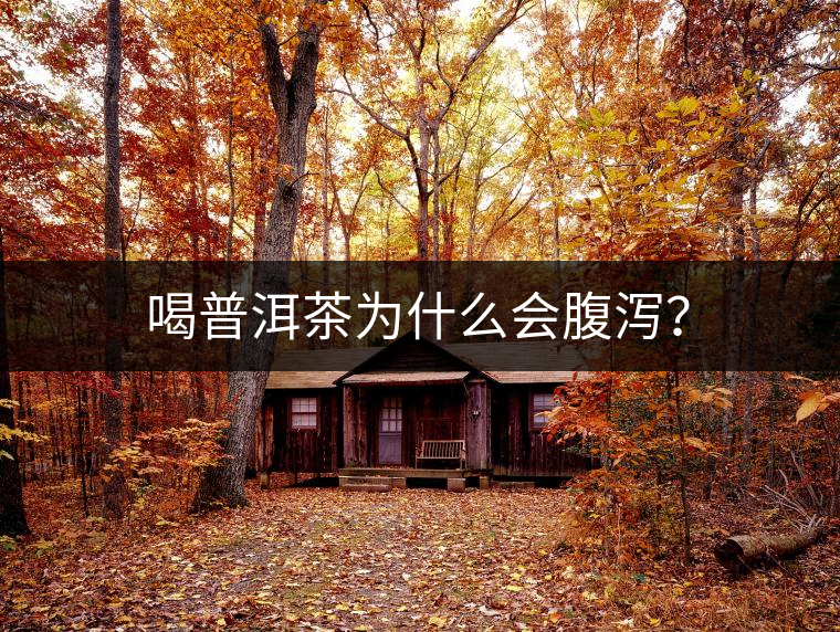 喝普洱茶為什么會腹瀉？