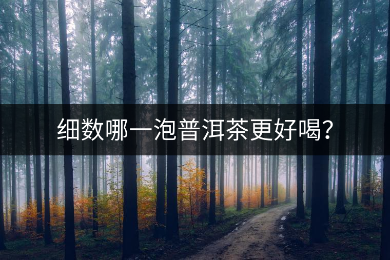 細(xì)數(shù)哪一泡普洱茶更好喝？