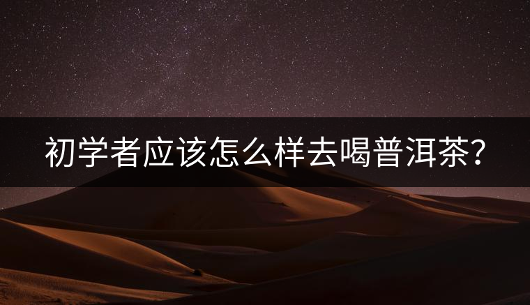 初學者應該怎么樣去喝普洱茶？