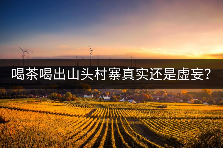 喝茶喝出山頭村寨真實還是虛妄？