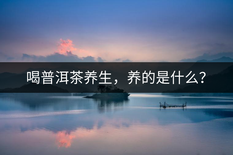 喝普洱茶養(yǎng)生，養(yǎng)的是什么？