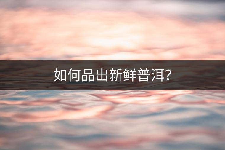 如何品出新鮮普洱？