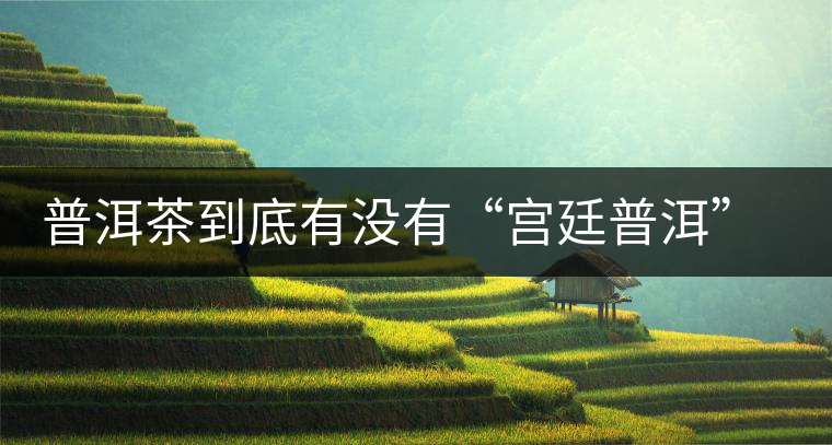 普洱茶到底有沒(méi)有“宮廷普洱”一說(shuō)？它到底是什么？