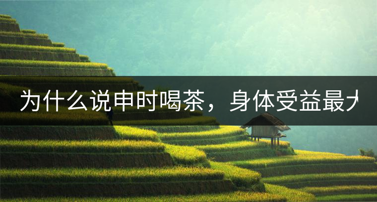 為什么說申時喝茶，身體受益最大？