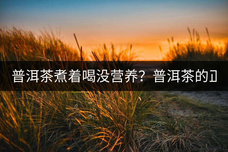 普洱茶煮著喝沒營養(yǎng)？普洱茶的正確煮法！